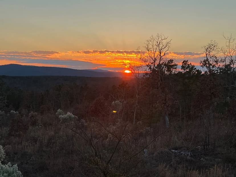 80 ACRES AND CABIN HUNTING PARADISE