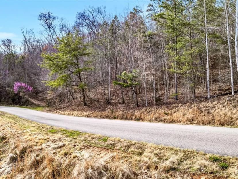Almost 1 acre Lot with Norris Lake Access