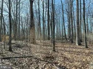 Vacant Land in Spotsylvania