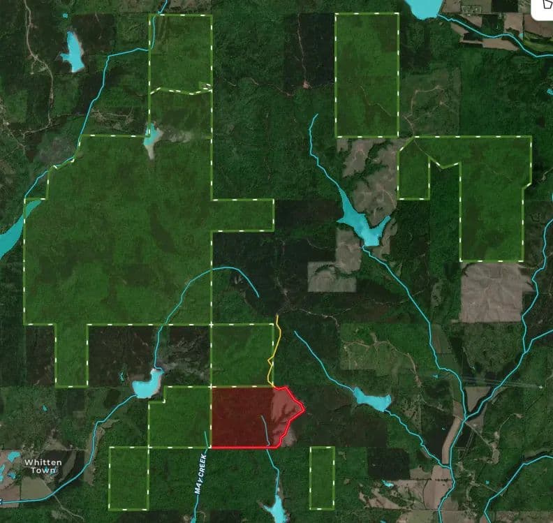 199 Acres - Ripley MS - Private entry to remote portion of Holly Springs NF