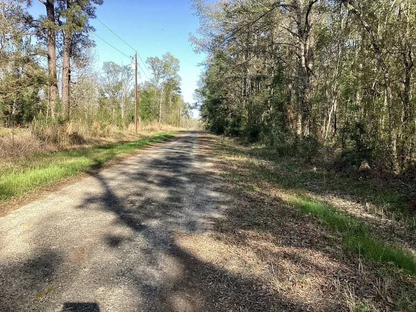Pevoto Road Tract, Calcasieu Parish, 83 Acres ≠