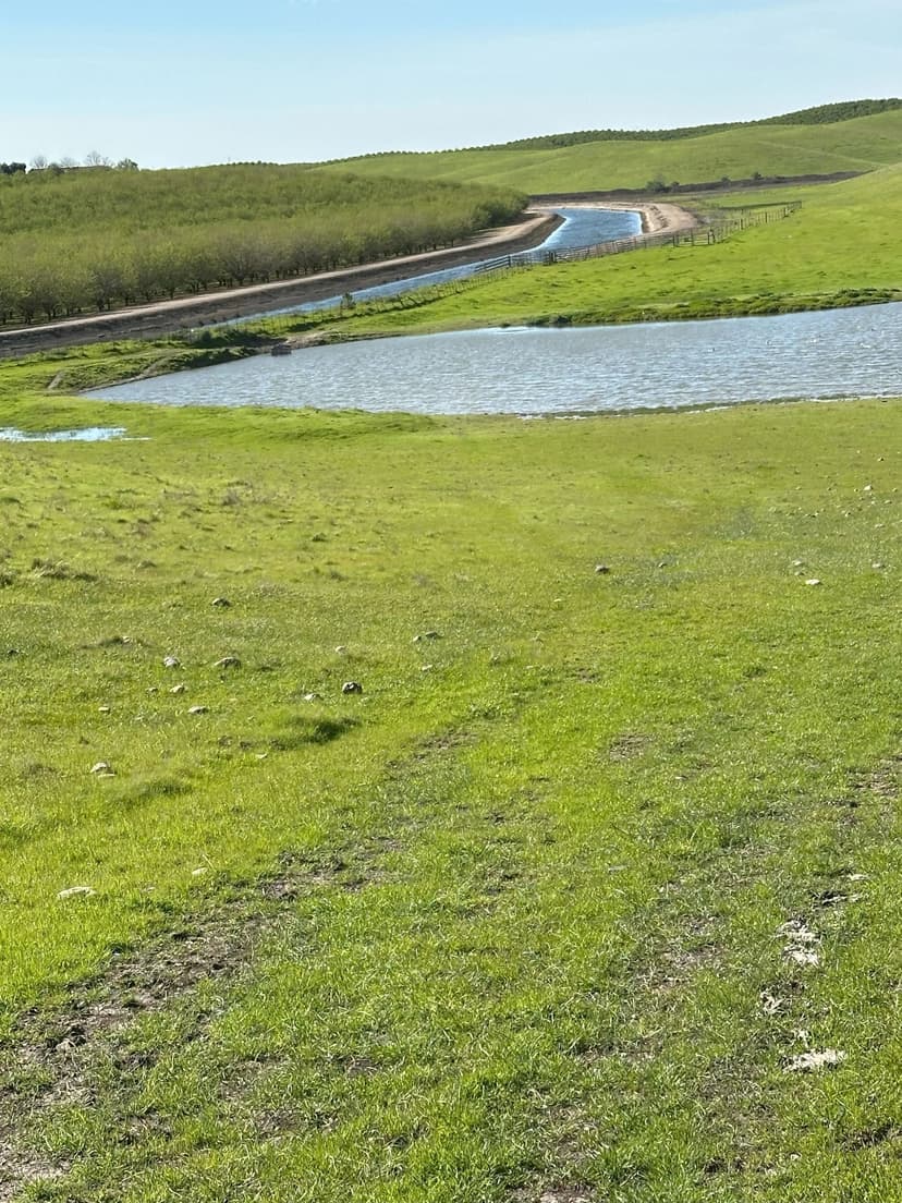 733.4+/- Acre Pasture Land, Waterford, CA 95386