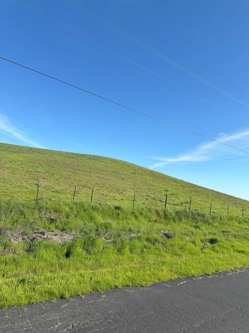 42+/- Acre Property Offering Located in Waterford, California
