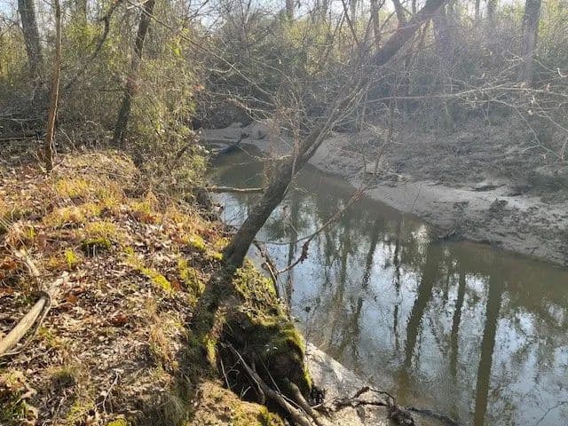 412 Acres in Rankin County on Woodrow Martin Road in Brandon, MS