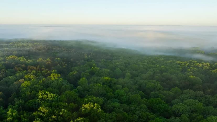 Large Recreational Tract With A Home In The Heart Of The Ozarks