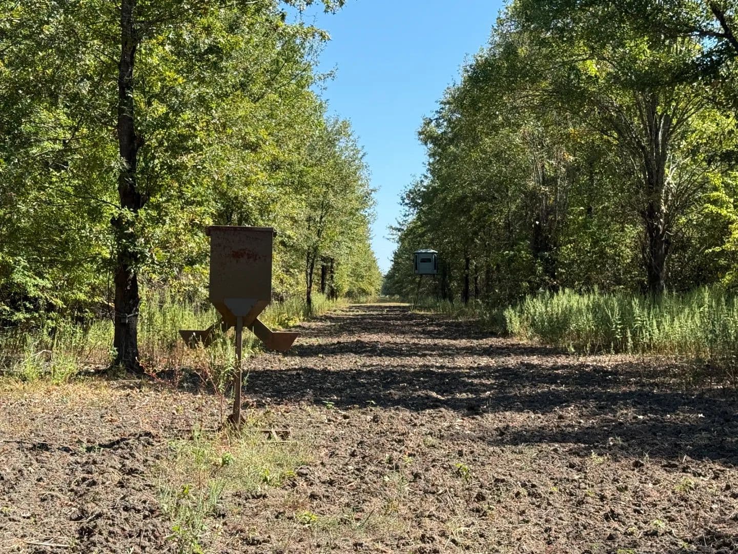 256.11 Acres in Sharkey County, MS  - Rolling Fork, Mississippi, 39159