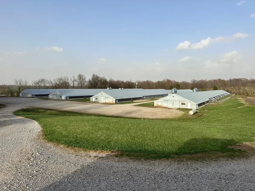 SALE PENDING! - Neal Broiler Farm — 4-House Broiler Operation in McLean County, KY