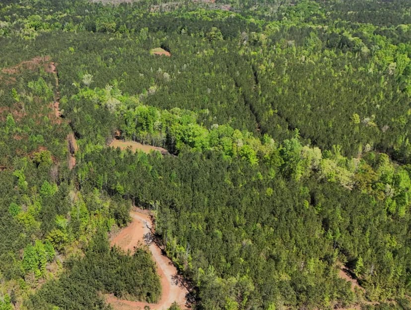 28 Acres in Lee County, AL 