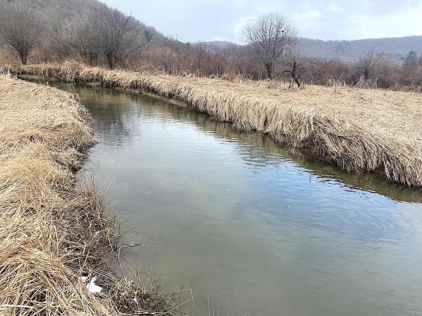 71 acres Hunting Land with Cabin and Creek near Alma Pond in Alma NY County Road 38