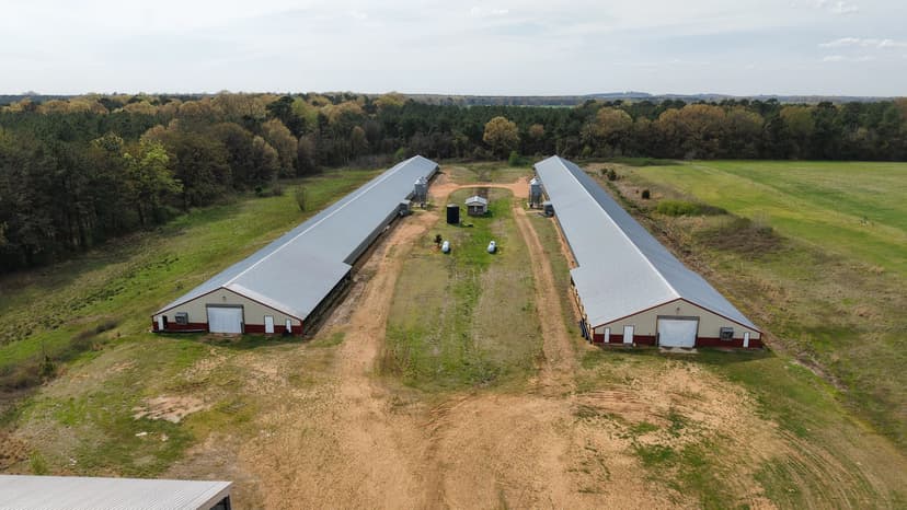 14 Acre Poultry Farm in Little River County, AR 