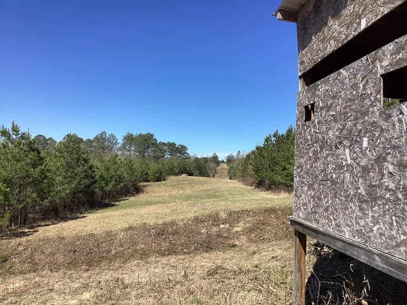 110 Acres on Polk Road 639 in Polk County, AR 