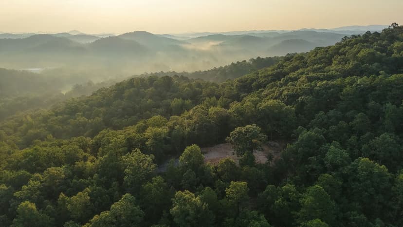 18.09 Acres in Polk County, AR 