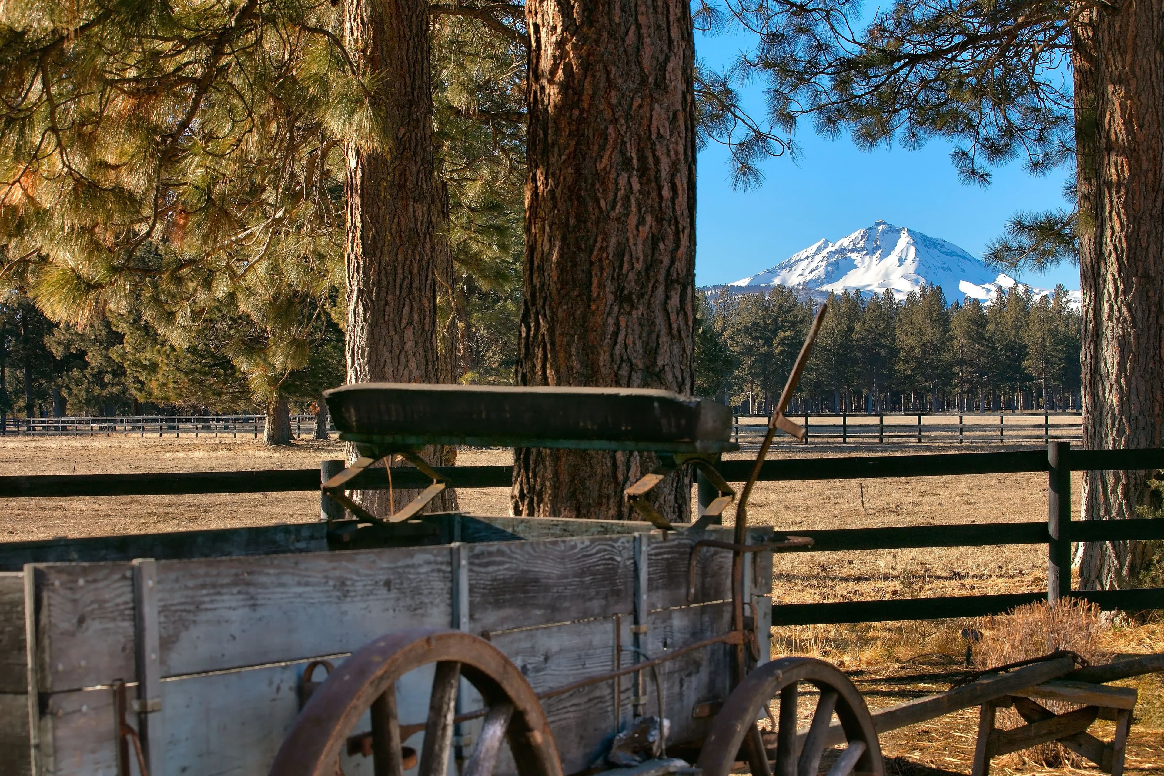 15275 Windigo Trail in Sisters, Oregon - photo 19