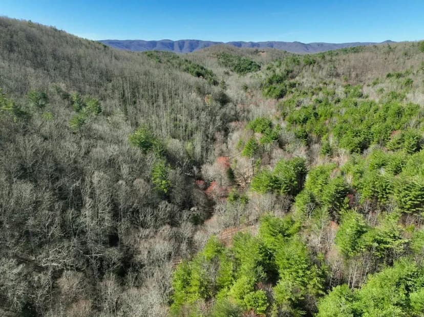 180 acres of Recreational Land for Sale in Patrick County VA!