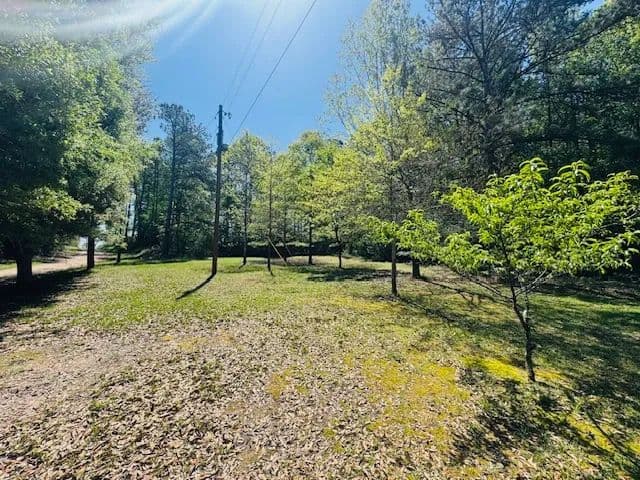 5.65 Acres on Phifer Lane | Franklinton, LA 