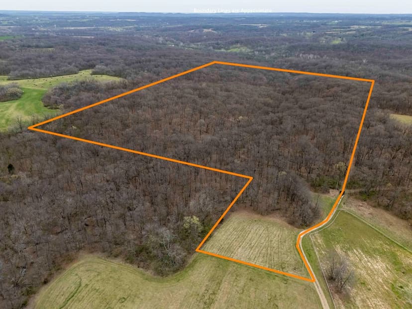 50 Acres of Outdoor Paradise with Hunting & Recreational Opportunities – Pike County