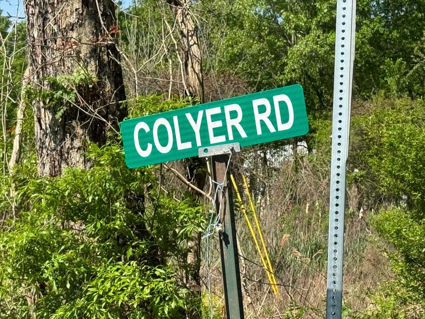 LA - West Carroll 120 acres +/-