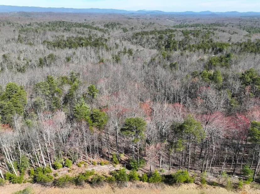 41.18 acres of Recreational Land for Sale in Patrick County VA!