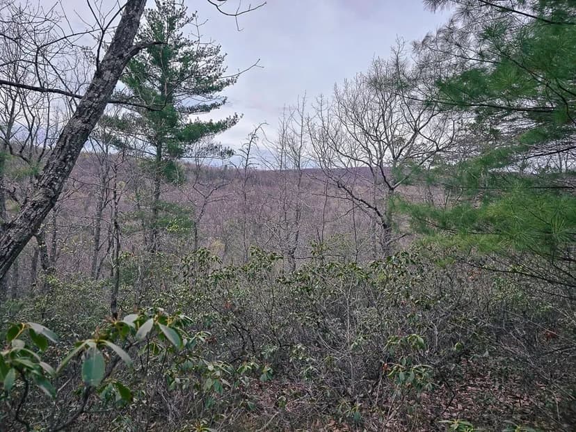 2.78 acres of Residential Land For Sale in Craig County VA