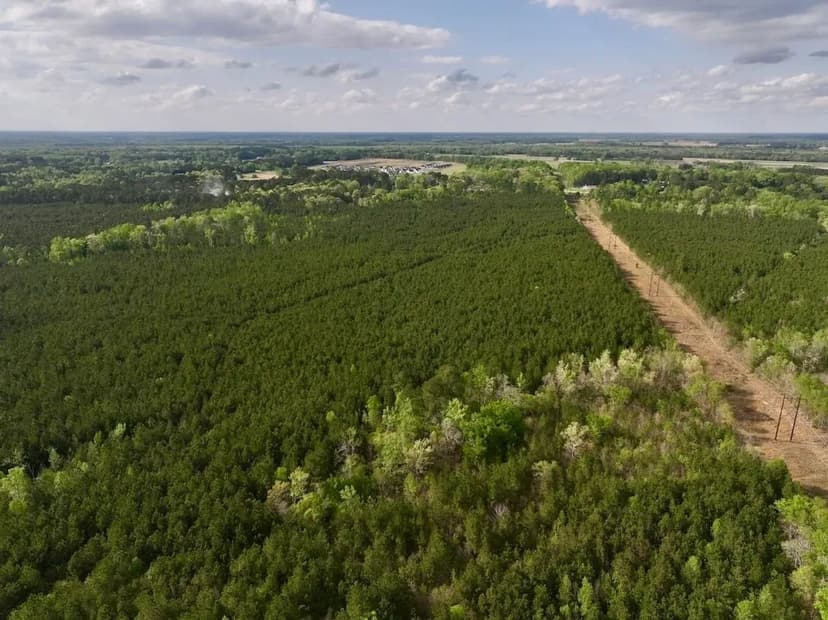 UNDER CONTRACT!! 131 acres of Timberland for Sale In Pitt County NC!