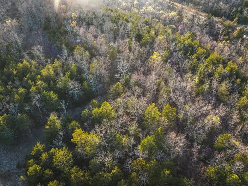 Sargent Rd 7 Aces and Pond