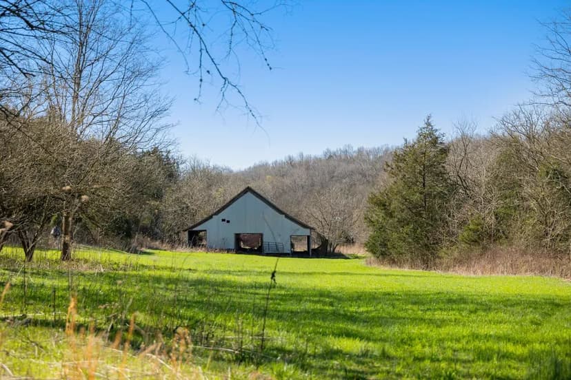 251 Acres of Prime Recreational Property Approximately 1 Hour To Nashville and Huntsville!