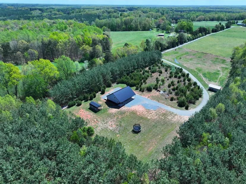 Southern Virginia Sanctuary: 76+/- Acres of Planted Pines and Seclusion in Halifax County, Virginia