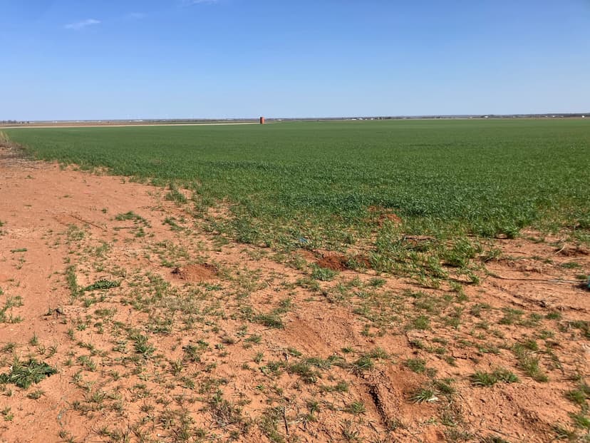 Sammie Chapman Estate - ±75 Acres, Baylor County