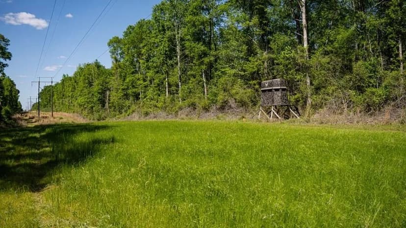 Deer and Turkey Property in Pike County, MS
