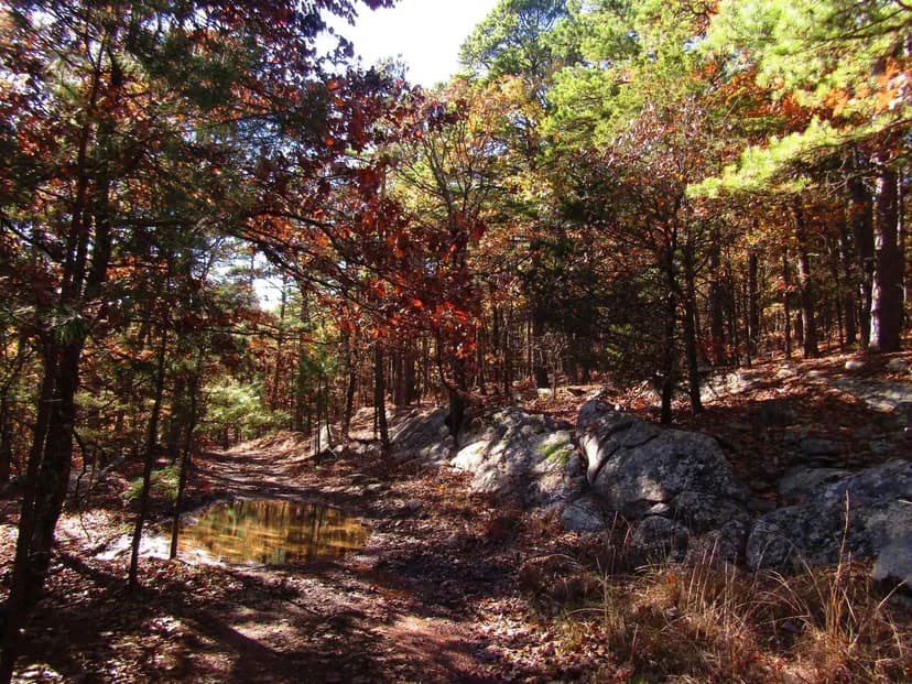 Secluded Unrestricted Kiamichi Wilderness Building Lot on Edge of Shorty Creek Pushmataha County, OK 5 AC