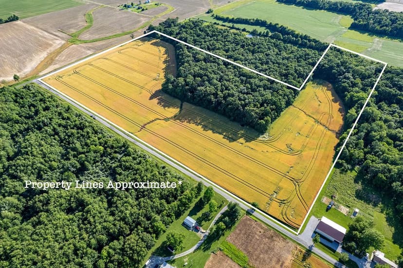 000 1325E Cisne IL 62823