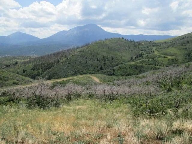 Lot 32 Raspberry Mountain Ranch, LaVeta, CO 81055