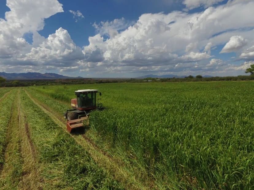 Arizona Farm Lot and Land For Sale