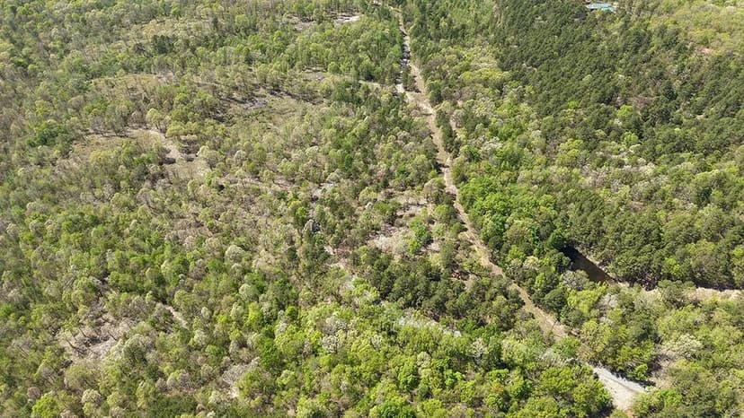 4 Acres in Polk County, AR 