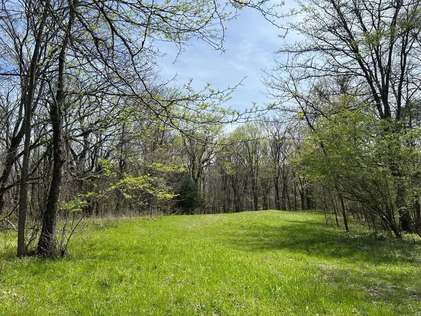 240-Acre Hunter's Paradise with Ponds, Creeks, and Timber Investment - Crenshaw, MS