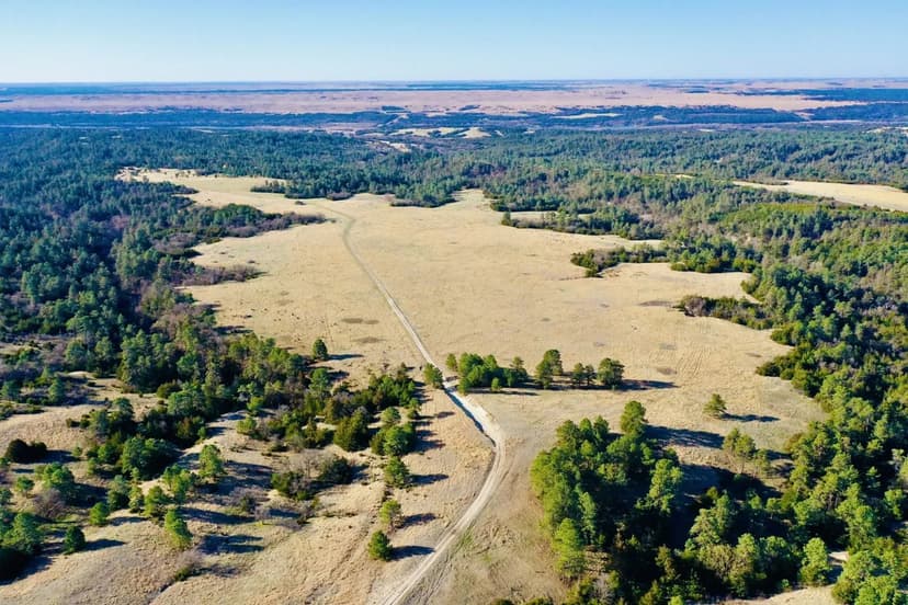 Dry Creek Retreat and Cabin