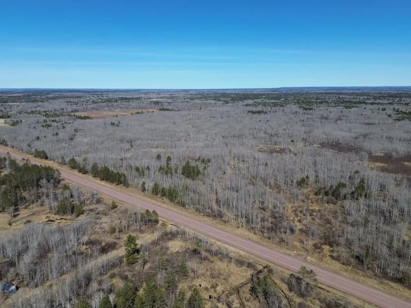 Northwoods Retreat – 80 Acres of Prime Hunting Land