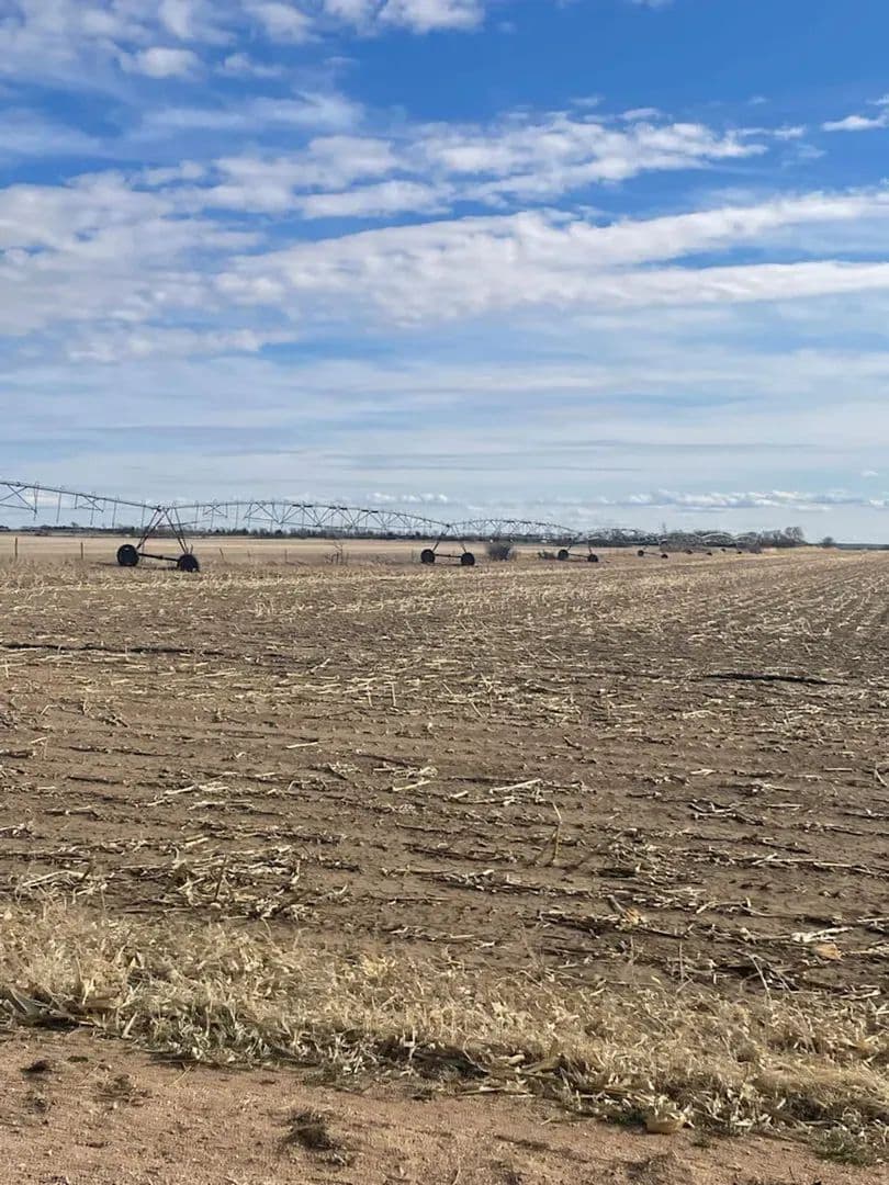 80 Acres+/-,  Irrigated Farmland    Knox County, Nebraska