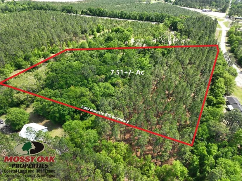 7.5+/- Ac Land for Sale in Pierce County, Ga