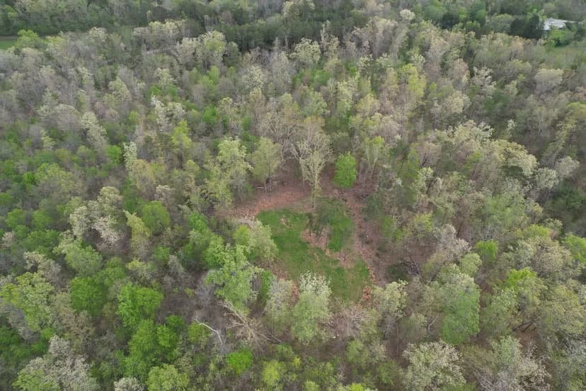 Madison 40 Deer and Turkey