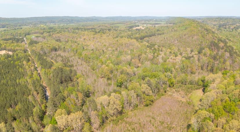 Hunting Land in Etowah County, AL