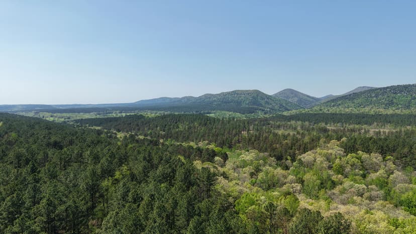 20 Acres in Pike County, AR 