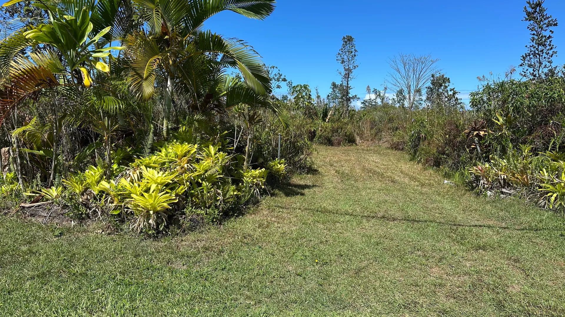 1 Acre of Land for Sale in Keaau, HI - Keaau, Hawaii, 96749