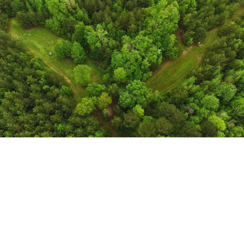 160 Acres in Lauderdale County in Lauderdale, MS