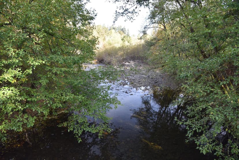 48 Acres on Mill Creek - (HOUSE ON 5.33 ACRE SALE PENDING - 48 ACRES AVAILABLE)