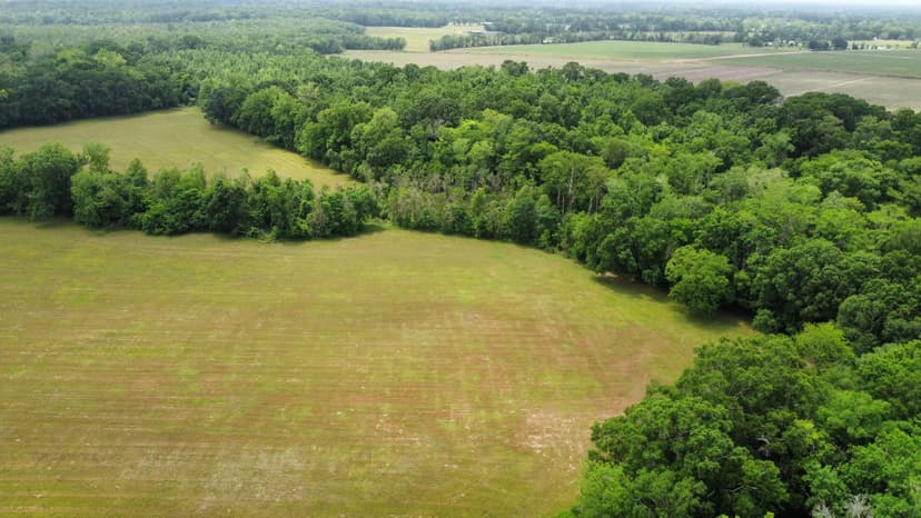 61.4 +/- acres Arnaudville, LA 70512