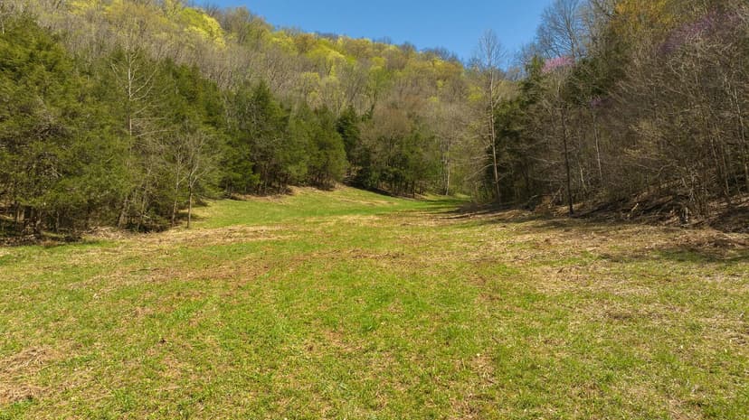Hancock County TN Land Auction