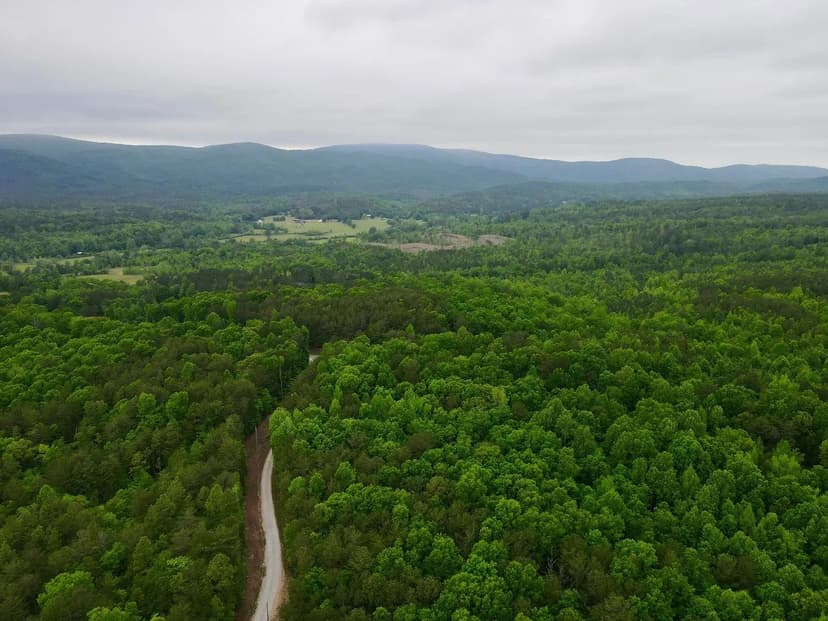 Reduced! Cheaha Mtn Preserve 165+/- acres