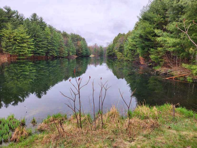 Wisconsin Dells Lake Front Lot For Sale