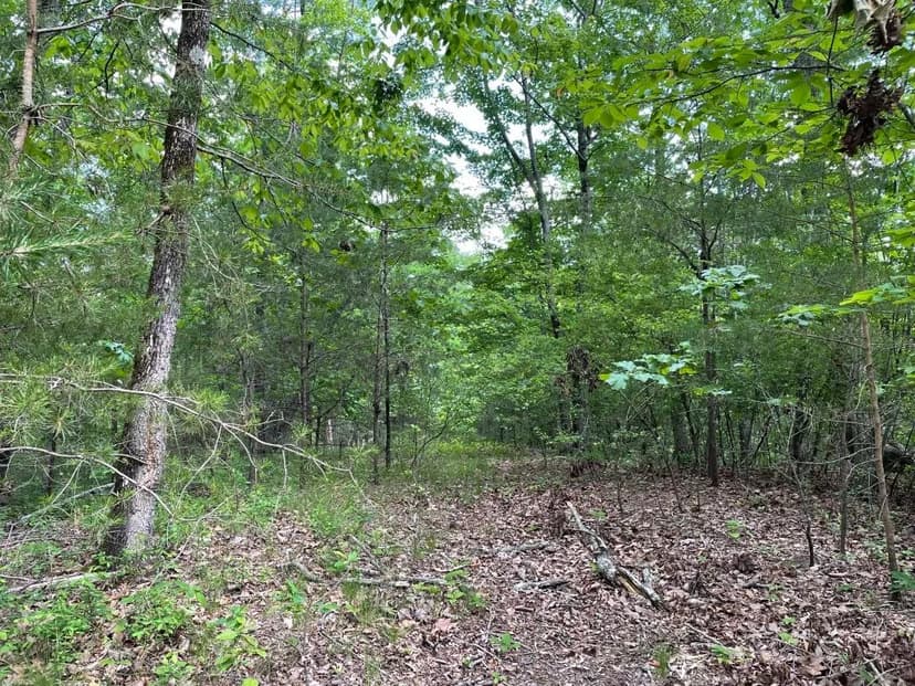 +/-48.35 Acres on Anthony Road in Pickens, SC